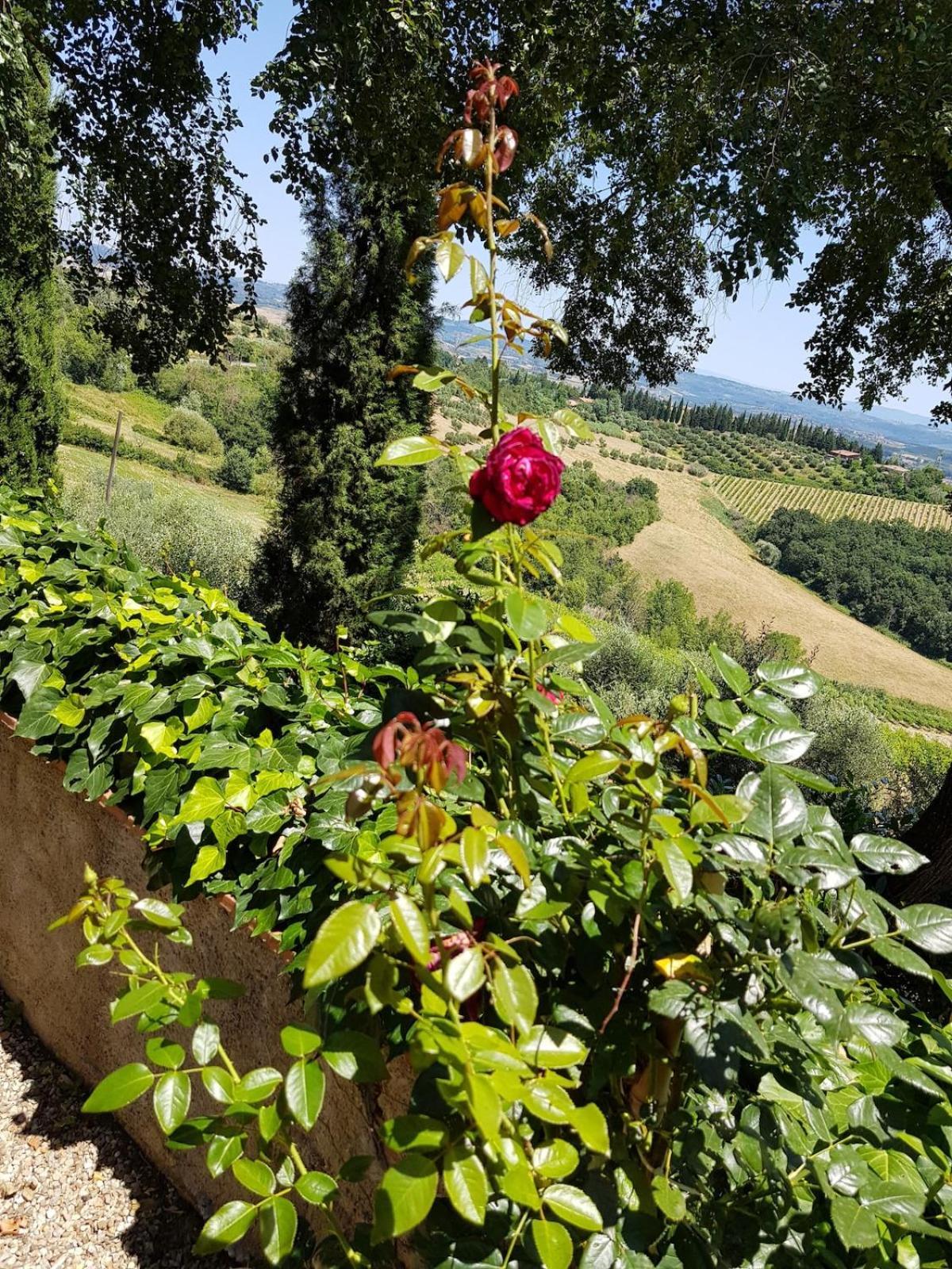 Il Leccio - Casa Toscana San Gimignano Гамбасси-Терме Экстерьер фото