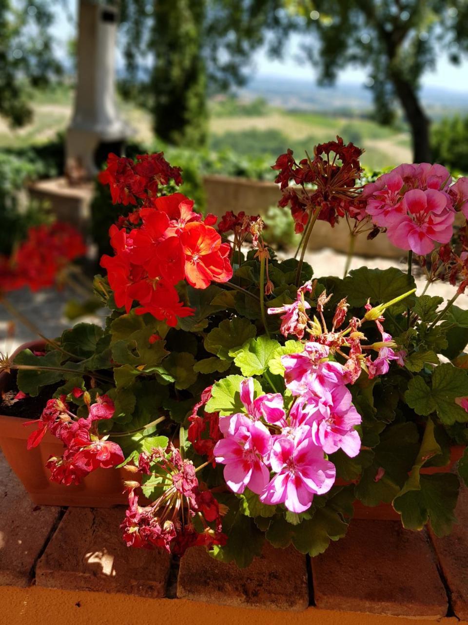 Il Leccio - Casa Toscana San Gimignano Гамбасси-Терме Экстерьер фото